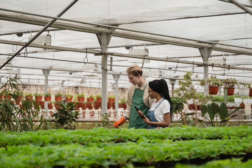 A diverse farm implementing sustainable practices.