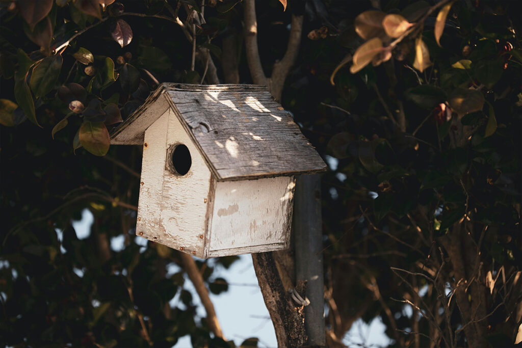post5-2 Handcrafted wooden birdhouse hanging on a tree